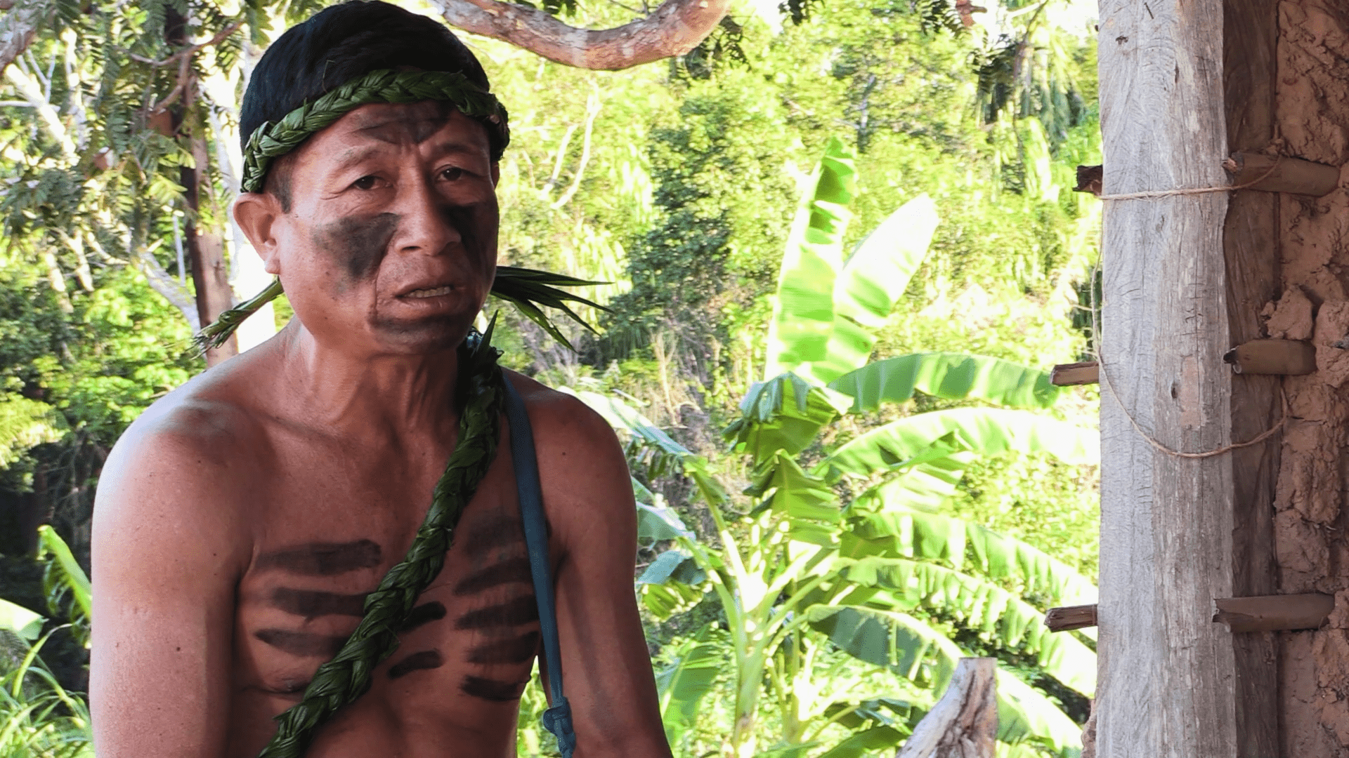 Um homem indígena tem linhas pretas printadas no peito e no rosto, além de uma trança de folhas ao redor da cabeça e do corpo. Ele está em uma área externa com bastante vegetação ao fundo.